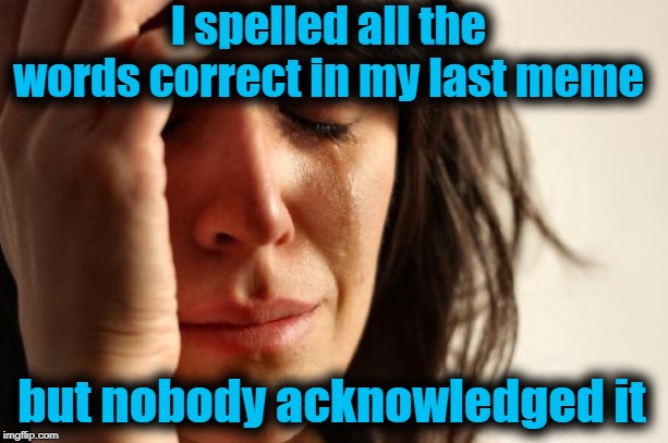 First World Problems | I spelled all the words correct in my last meme; but nobody acknowledged it | image tagged in memes,first world problems | made w/ Imgflip meme maker