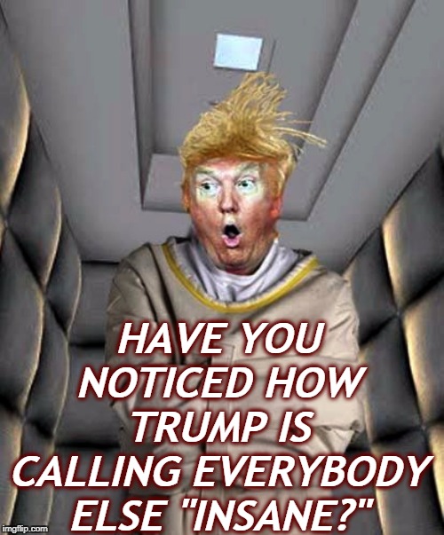 Trump insane unhinged deranged nuts | HAVE YOU NOTICED HOW TRUMP IS CALLING EVERYBODY ELSE "INSANE?" | image tagged in trump insane unhinged deranged nuts,trump,losing,padded cell,projection | made w/ Imgflip meme maker