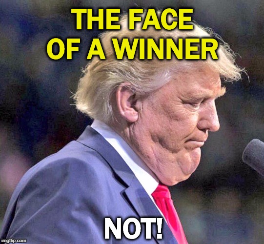 Donald Trump, taking a breath between lies. | THE FACE OF A WINNER; NOT! | image tagged in trump jowl craw neck depressed,winner,loser,trump | made w/ Imgflip meme maker