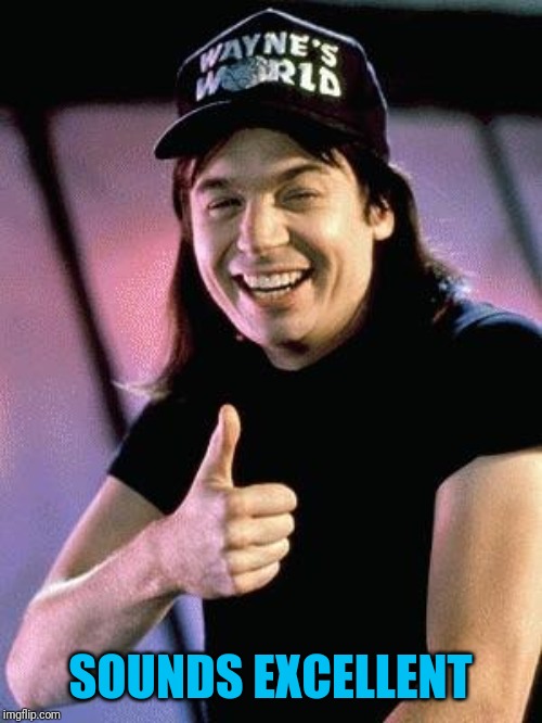 Wayne's world  | SOUNDS EXCELLENT | image tagged in wayne's world | made w/ Imgflip meme maker