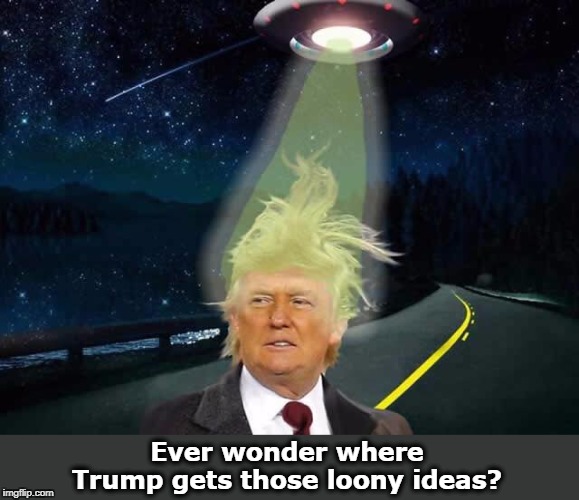 Trump campaign headquarters UFO | Ever wonder where Trump gets those loony ideas? | image tagged in trump campaign headquarters ufo,trump,crazy,ufo | made w/ Imgflip meme maker