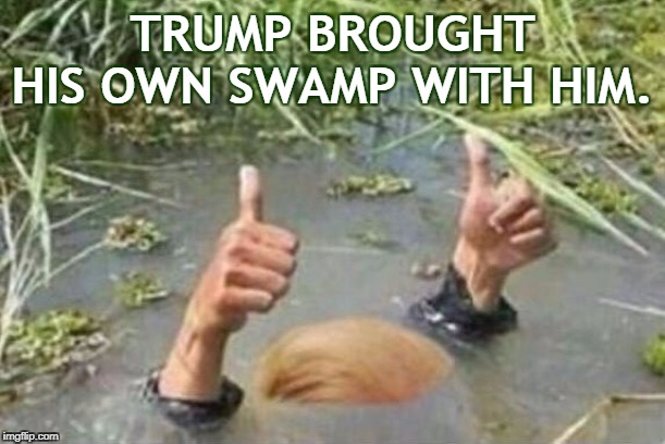 Trump - the Swamp Drains Him | TRUMP BROUGHT HIS OWN SWAMP WITH HIM. | image tagged in trump - the swamp drains him,corruption,greed,liar | made w/ Imgflip meme maker