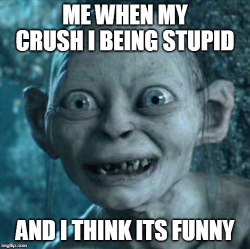 Gollum Meme | ME WHEN MY CRUSH I BEING STUPID; AND I THINK ITS FUNNY | image tagged in memes,gollum | made w/ Imgflip meme maker