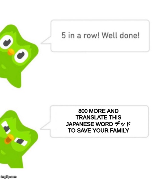 Duolingo 5 in a row | 800 MORE AND TRANSLATE THIS JAPANESE WORD デッド TO SAVE YOUR FAMILY | image tagged in duolingo 5 in a row | made w/ Imgflip meme maker