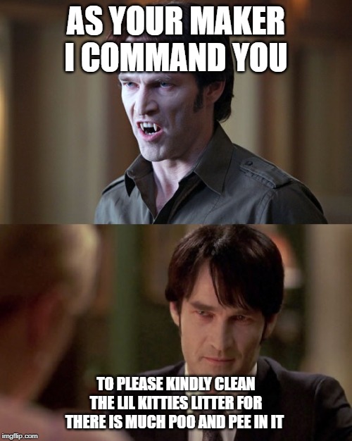 AS YOUR MAKER I COMMAND YOU; TO PLEASE KINDLY CLEAN THE LIL KITTIES LITTER FOR THERE IS MUCH POO AND PEE IN IT | image tagged in bill compton,trueblood,cat litter | made w/ Imgflip meme maker