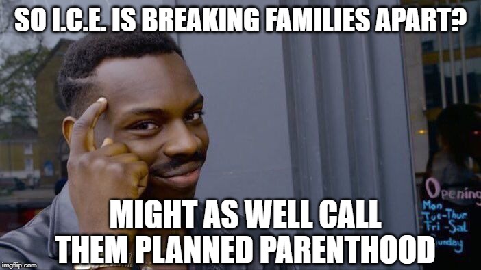 Roll Safe Think About It Meme | SO I.C.E. IS BREAKING FAMILIES APART? MIGHT AS WELL CALL THEM PLANNED PARENTHOOD | image tagged in memes,roll safe think about it | made w/ Imgflip meme maker