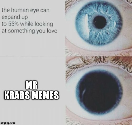 Eye pupil expand | MR KRABS MEMES | image tagged in eye pupil expand | made w/ Imgflip meme maker