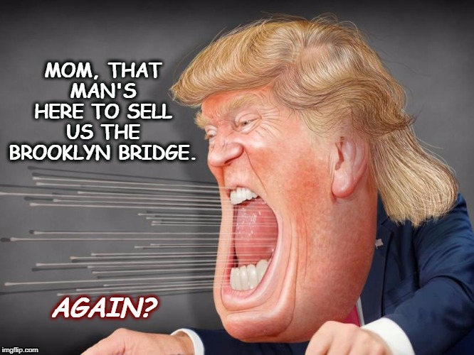 Trump shouting crazy in a high wind he made himself | MOM, THAT MAN'S HERE TO SELL US THE BROOKLYN BRIDGE. AGAIN? | image tagged in trump shouting crazy in a high wind he made himself,trump,salesman,phony,dishonest | made w/ Imgflip meme maker