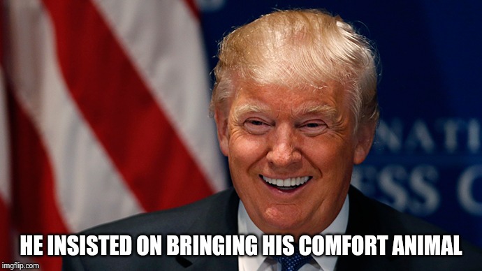 Laughing Donald Trump | HE INSISTED ON BRINGING HIS COMFORT ANIMAL | image tagged in laughing donald trump | made w/ Imgflip meme maker