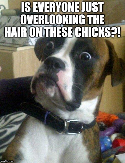 Blankie the Shocked Dog | IS EVERYONE JUST OVERLOOKING THE HAIR ON THESE CHICKS?! | image tagged in blankie the shocked dog | made w/ Imgflip meme maker