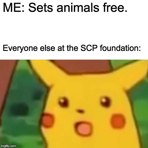 Surprised Pikachu Meme | ME: Sets animals free. Everyone else at the SCP foundation: | image tagged in memes,surprised pikachu | made w/ Imgflip meme maker