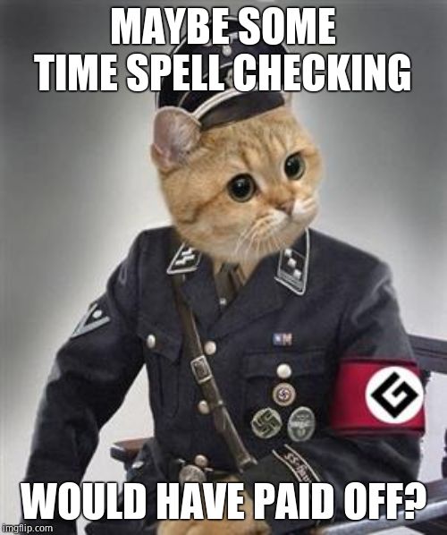 Grammar Nazi Cat | MAYBE SOME TIME SPELL CHECKING WOULD HAVE PAID OFF? | image tagged in grammar nazi cat | made w/ Imgflip meme maker