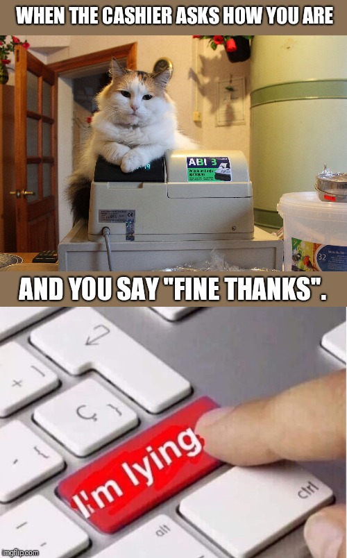 WHEN THE CASHIER ASKS HOW YOU ARE; AND YOU SAY "FINE THANKS". | image tagged in cat cashier | made w/ Imgflip meme maker
