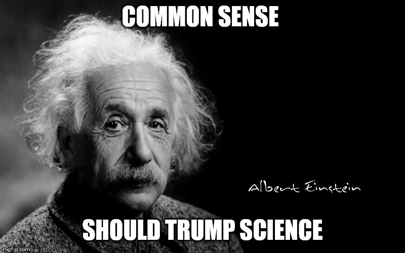 Albert Einstein | COMMON SENSE; SHOULD TRUMP SCIENCE | image tagged in albert einstein | made w/ Imgflip meme maker
