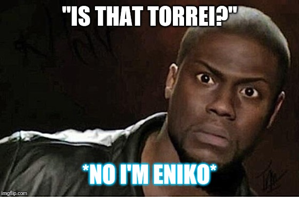 Wronggg | "IS THAT TORREI?"; *NO I'M ENIKO* | image tagged in memes,kevin hart,messed up,what,lost | made w/ Imgflip meme maker