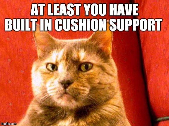 Suspicious Cat Meme | AT LEAST YOU HAVE BUILT IN CUSHION SUPPORT | image tagged in memes,suspicious cat | made w/ Imgflip meme maker