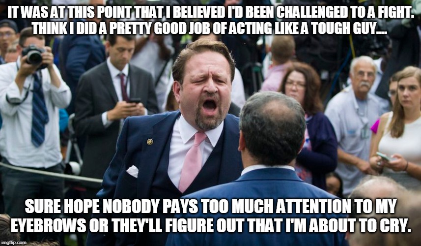 Crybaby Gorka | IT WAS AT THIS POINT THAT I BELIEVED I'D BEEN CHALLENGED TO A FIGHT.
THINK I DID A PRETTY GOOD JOB OF ACTING LIKE A TOUGH GUY.... SURE HOPE NOBODY PAYS TOO MUCH ATTENTION TO MY EYEBROWS OR THEY'LL FIGURE OUT THAT I'M ABOUT TO CRY. | image tagged in sebastian gorka,cry-baby,wimp | made w/ Imgflip meme maker