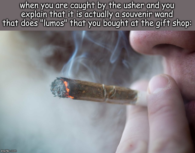 when in the theater at the Wizarding World in Universal Studios . . . . | when you are caught by the usher and you explain that it is actually a souvenir wand that does "lumos" that you bought at the gift shop: | image tagged in harry potter meme | made w/ Imgflip meme maker