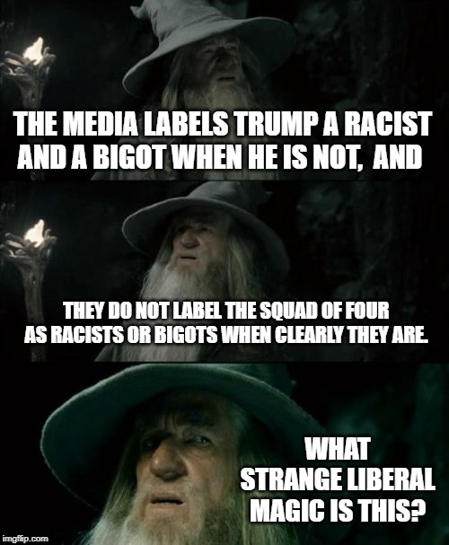 Confused Gandalf Meme | THE MEDIA LABELS TRUMP A RACIST AND A BIGOT WHEN HE IS NOT,  AND; THEY DO NOT LABEL THE SQUAD OF FOUR AS RACISTS OR BIGOTS WHEN CLEARLY THEY ARE. WHAT STRANGE LIBERAL MAGIC IS THIS? | image tagged in memes,confused gandalf | made w/ Imgflip meme maker