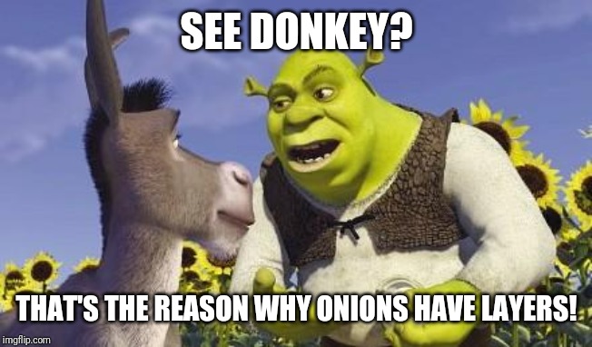SHREK & ONIONS | SEE DONKEY? THAT'S THE REASON WHY ONIONS HAVE LAYERS! | image tagged in shrek  onions | made w/ Imgflip meme maker