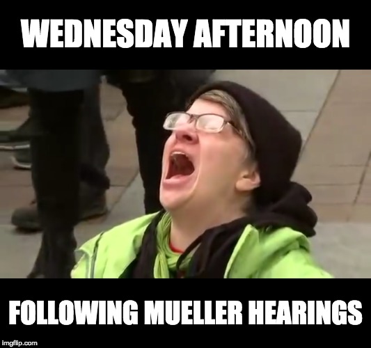 no feminist | WEDNESDAY AFTERNOON; FOLLOWING MUELLER HEARINGS | image tagged in no feminist | made w/ Imgflip meme maker