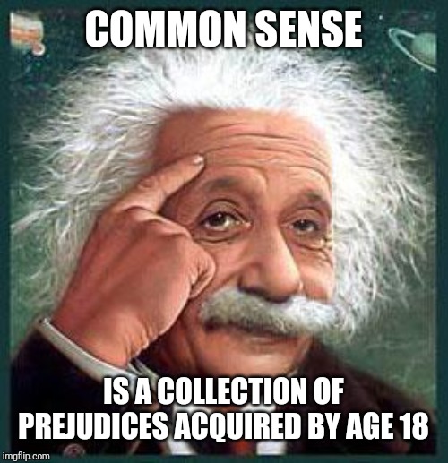 einstein | COMMON SENSE IS A COLLECTION OF PREJUDICES ACQUIRED BY AGE 18 | image tagged in einstein | made w/ Imgflip meme maker