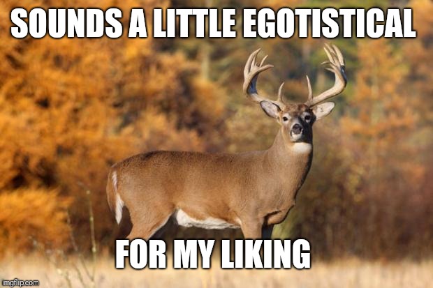whitetail deer | SOUNDS A LITTLE EGOTISTICAL FOR MY LIKING | image tagged in whitetail deer | made w/ Imgflip meme maker