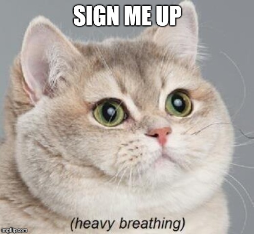 Heavy Breathing Cat Meme | SIGN ME UP | image tagged in memes,heavy breathing cat | made w/ Imgflip meme maker