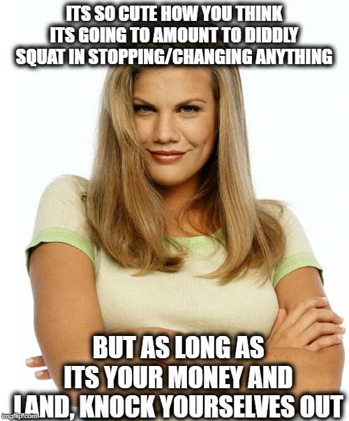 Kirsten | ITS SO CUTE HOW YOU THINK ITS GOING TO AMOUNT TO DIDDLY SQUAT IN STOPPING/CHANGING ANYTHING BUT AS LONG AS ITS YOUR MONEY AND LAND, KNOCK YO | image tagged in kirsten | made w/ Imgflip meme maker