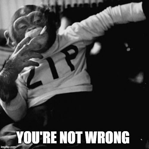 Smoking monkey | YOU'RE NOT WRONG | image tagged in smoking monkey | made w/ Imgflip meme maker