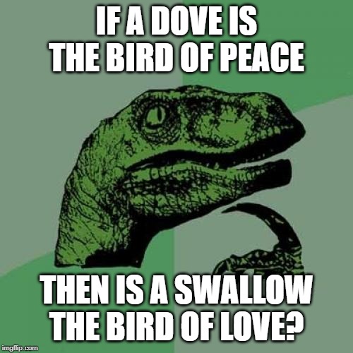 Gulp | IF A DOVE IS THE BIRD OF PEACE; THEN IS A SWALLOW THE BIRD OF LOVE? | image tagged in memes,philosoraptor | made w/ Imgflip meme maker