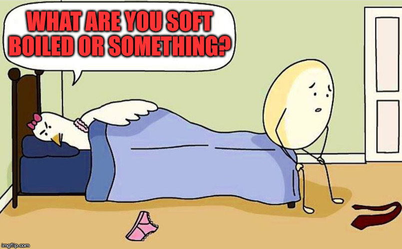 a little too soft for her. | WHAT ARE YOU SOFT BOILED OR SOMETHING? | image tagged in chicken egg,frontpage | made w/ Imgflip meme maker