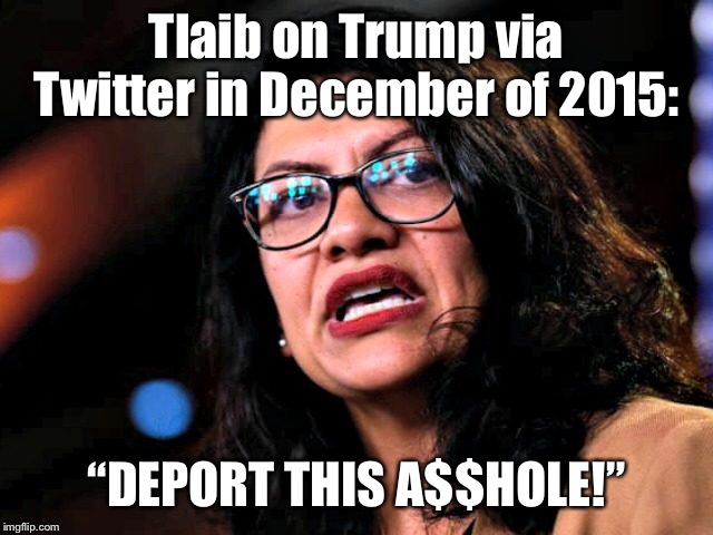 She really said that... was it racist?  The media doesn’t/didn’t seem to care that she said that..  Weird right? | Tlaib on Trump via Twitter in December of 2015:; “DEPORT THIS A$$HOLE!” | image tagged in liberal hypocrisy | made w/ Imgflip meme maker