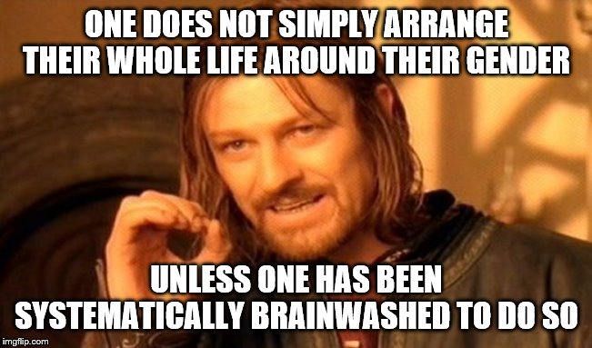 One Does Not Simply | ONE DOES NOT SIMPLY ARRANGE THEIR WHOLE LIFE AROUND THEIR GENDER; UNLESS ONE HAS BEEN SYSTEMATICALLY BRAINWASHED TO DO SO | image tagged in memes,one does not simply | made w/ Imgflip meme maker