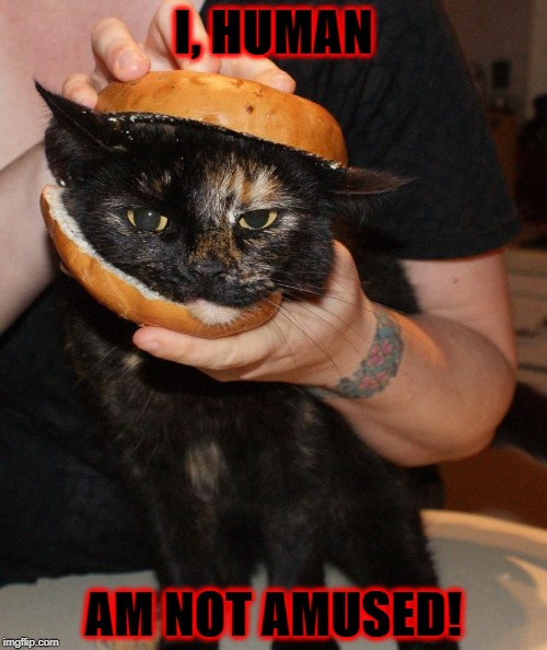 NOT AMUSED | I, HUMAN; AM NOT AMUSED! | image tagged in not amused | made w/ Imgflip meme maker