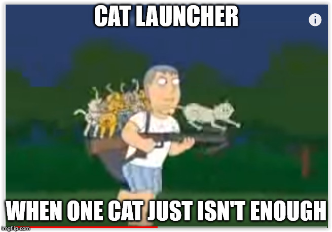 Cat Launcher | CAT LAUNCHER; WHEN ONE CAT JUST ISN'T ENOUGH | image tagged in cat launcher | made w/ Imgflip meme maker