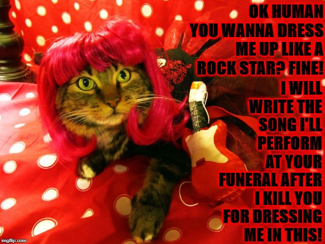 ROCK STAR KITTY | I WILL WRITE THE SONG I'LL PERFORM AT YOUR FUNERAL AFTER I KILL YOU FOR DRESSING ME IN THIS! OK HUMAN YOU WANNA DRESS ME UP LIKE A ROCK STAR? FINE! | image tagged in rock star kitty | made w/ Imgflip meme maker