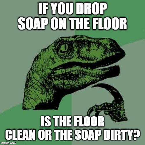 Philosoraptor | IF YOU DROP SOAP ON THE FLOOR; IS THE FLOOR CLEAN OR THE SOAP DIRTY? | image tagged in memes,philosoraptor | made w/ Imgflip meme maker
