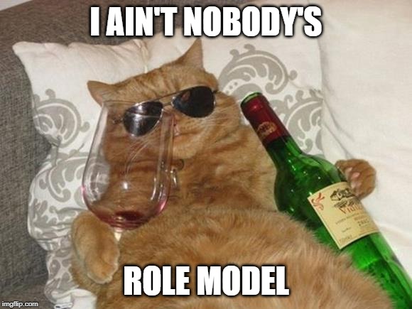 I Ain't Nobody's Role Model | I AIN'T NOBODY'S; ROLE MODEL | image tagged in cats,role model,disgrace,chillin,proud,rebel | made w/ Imgflip meme maker