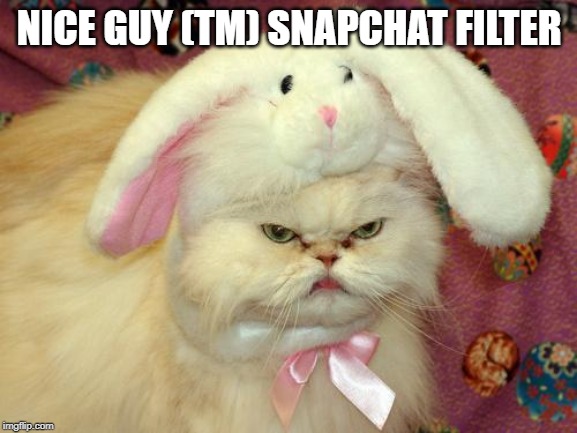 A Nice Rabbit | NICE GUY (TM) SNAPCHAT FILTER | image tagged in cats,nice guy,costume | made w/ Imgflip meme maker