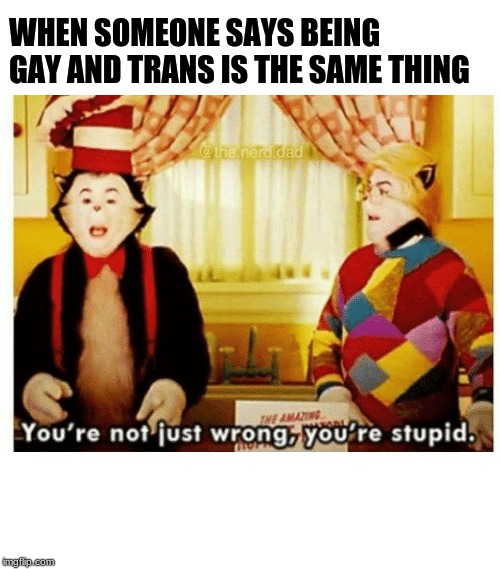 You're not just wrong your stupid |  WHEN SOMEONE SAYS BEING GAY AND TRANS IS THE SAME THING | image tagged in you're not just wrong your stupid | made w/ Imgflip meme maker