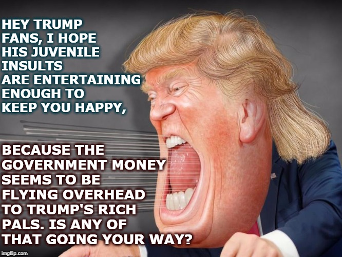 Is trash talk enough? Because Trump's government subsidies are being paid out, but not to you, or anybody like you. | BECAUSE THE GOVERNMENT MONEY SEEMS TO BE FLYING OVERHEAD TO TRUMP'S RICH PALS. IS ANY OF THAT GOING YOUR WAY? HEY TRUMP FANS, I HOPE HIS JUVENILE INSULTS ARE ENTERTAINING ENOUGH TO KEEP YOU HAPPY, | image tagged in trump,insults,money,rich,trash | made w/ Imgflip meme maker