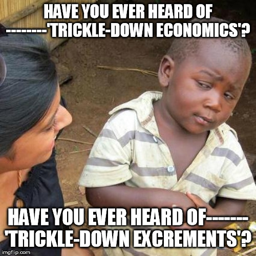 Third World Skeptical Kid Meme | HAVE YOU EVER HEARD OF --------'TRICKLE-DOWN ECONOMICS'? HAVE YOU EVER HEARD OF------- 'TRICKLE-DOWN EXCREMENTS'? | image tagged in memes,third world skeptical kid | made w/ Imgflip meme maker