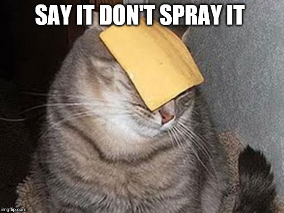 Cats with cheese | SAY IT DON'T SPRAY IT | image tagged in cats with cheese | made w/ Imgflip meme maker
