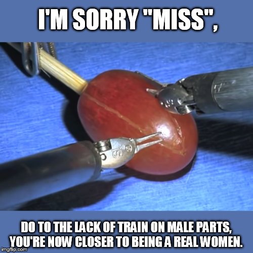 They did surgery on a grape | I'M SORRY "MISS", DO TO THE LACK OF TRAIN ON MALE PARTS, YOU'RE NOW CLOSER TO BEING A REAL WOMEN. | image tagged in they did surgery on a grape | made w/ Imgflip meme maker