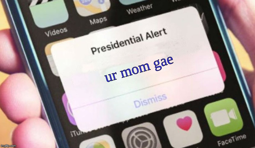 she do be gay | ur mom gae | image tagged in memes,presidential alert | made w/ Imgflip meme maker