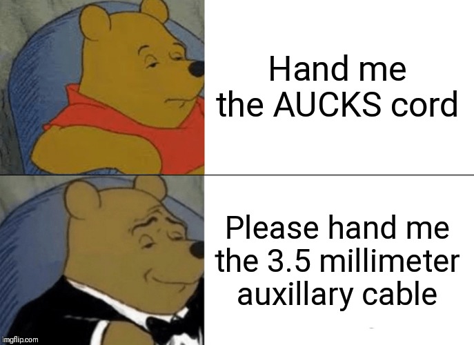 AUX Cable??? | Hand me the AUCKS cord; Please hand me the 3.5 millimeter auxillary cable | image tagged in memes,tuxedo winnie the pooh,aux,aux cale,cable,music | made w/ Imgflip meme maker