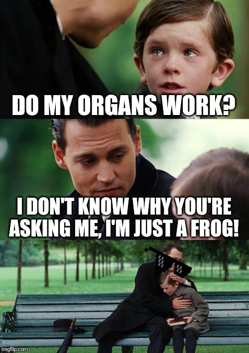 Finding Neverland Meme | DO MY ORGANS WORK? I DON'T KNOW WHY YOU'RE ASKING ME, I'M JUST A FROG! | image tagged in memes,finding neverland | made w/ Imgflip meme maker
