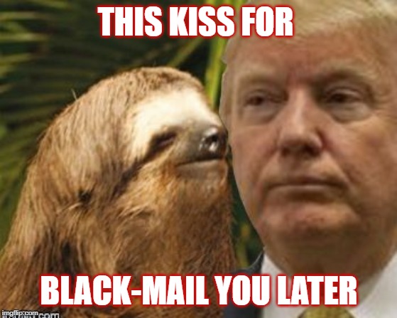 Political advice sloth | THIS KISS FOR; BLACK-MAIL YOU LATER | image tagged in political advice sloth | made w/ Imgflip meme maker
