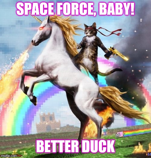 Welcome To The Internets Meme | SPACE FORCE, BABY! BETTER DUCK | image tagged in memes,welcome to the internets | made w/ Imgflip meme maker